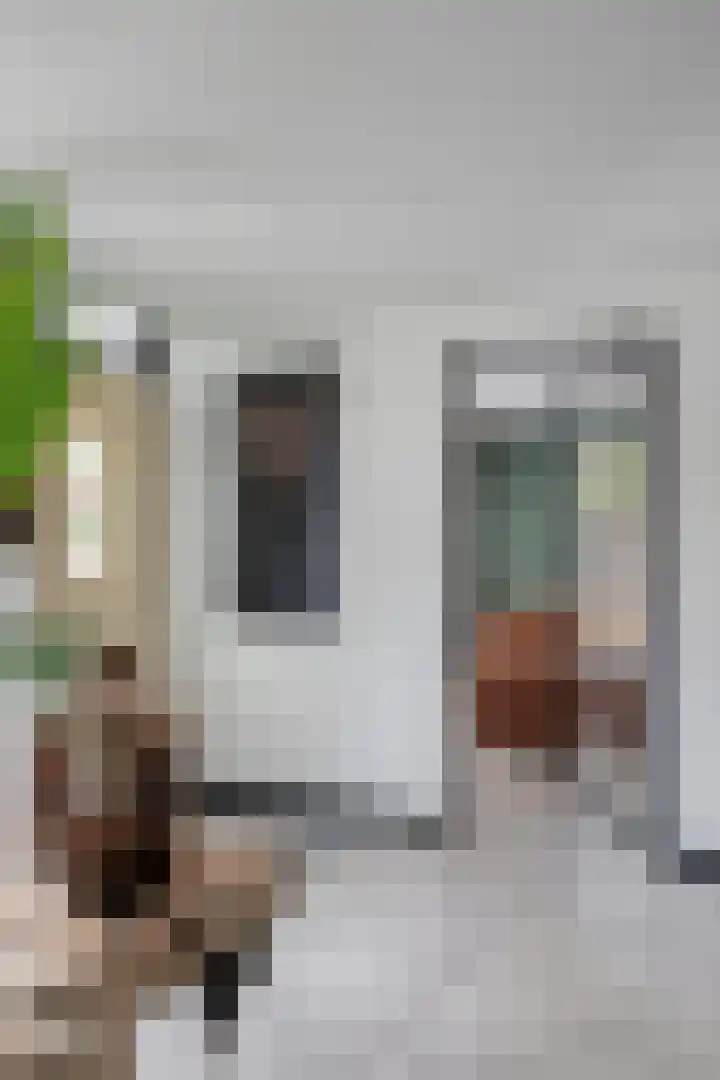 Wilhelminastraat 6 Oudelande thumbnail 12