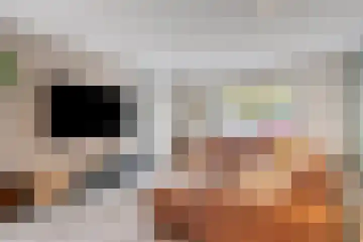 Wilhelminastraat 6 Oudelande thumbnail 14