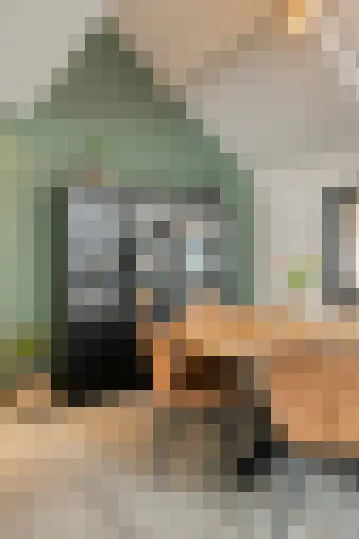 Wilhelminastraat 6 Oudelande thumbnail 20