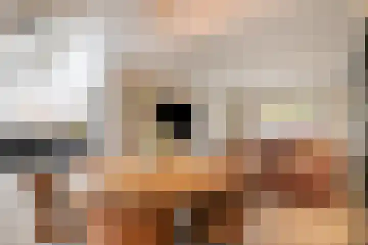 Wilhelminastraat 6 Oudelande thumbnail 21