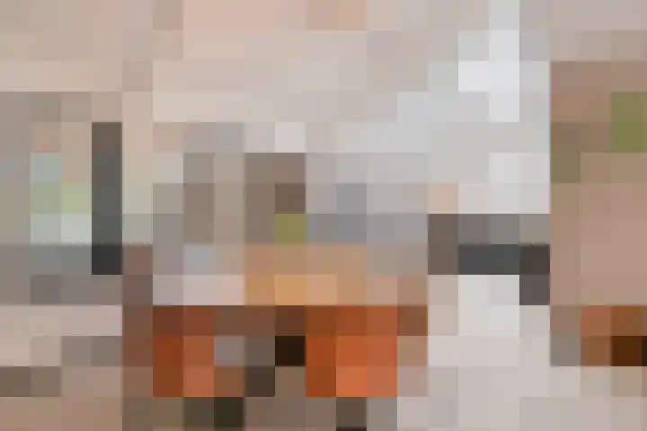 Wilhelminastraat 6 Oudelande thumbnail 22