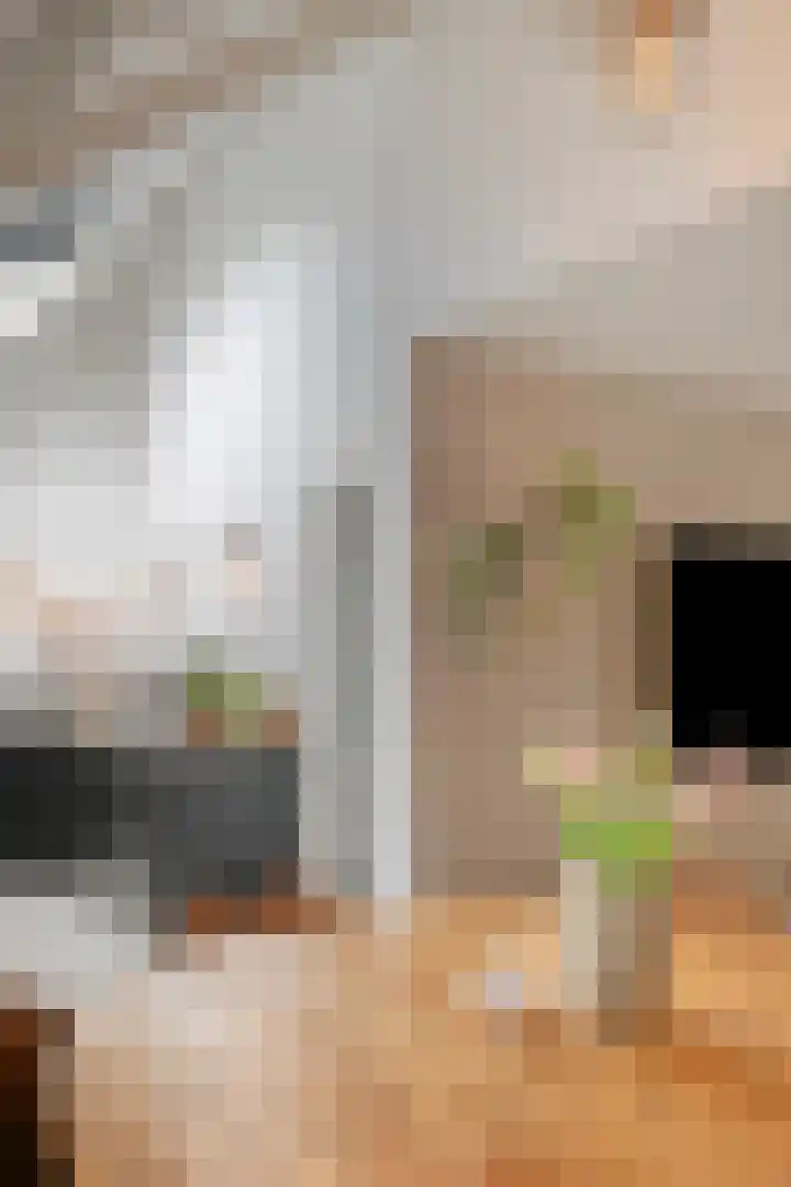 Wilhelminastraat 6 Oudelande thumbnail 23