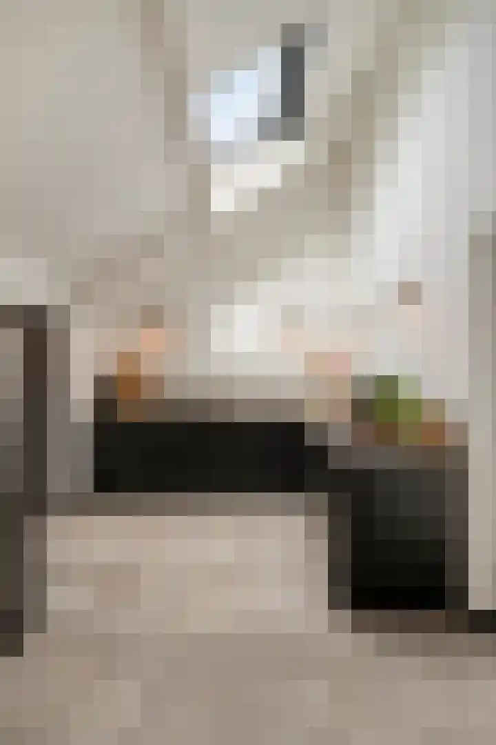 Wilhelminastraat 6 Oudelande thumbnail 24