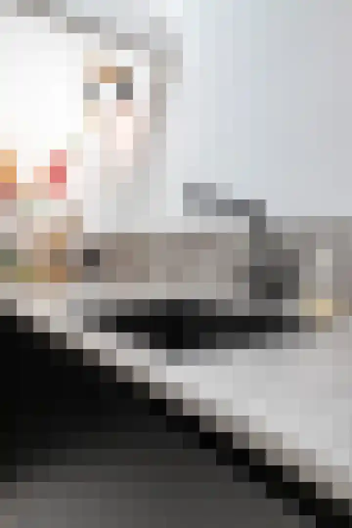 Wilhelminastraat 6 Oudelande thumbnail 27