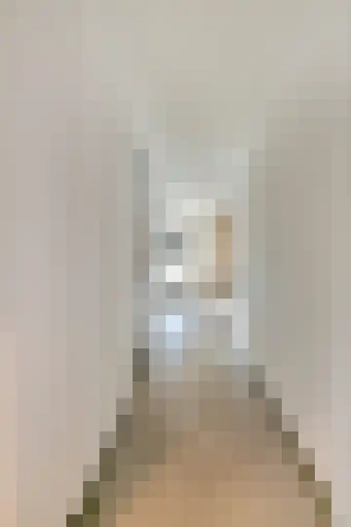 Wilhelminastraat 6 Oudelande thumbnail 32