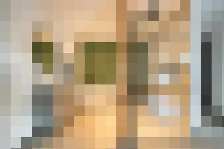 Wilhelminastraat 6 Oudelande thumbnail 35