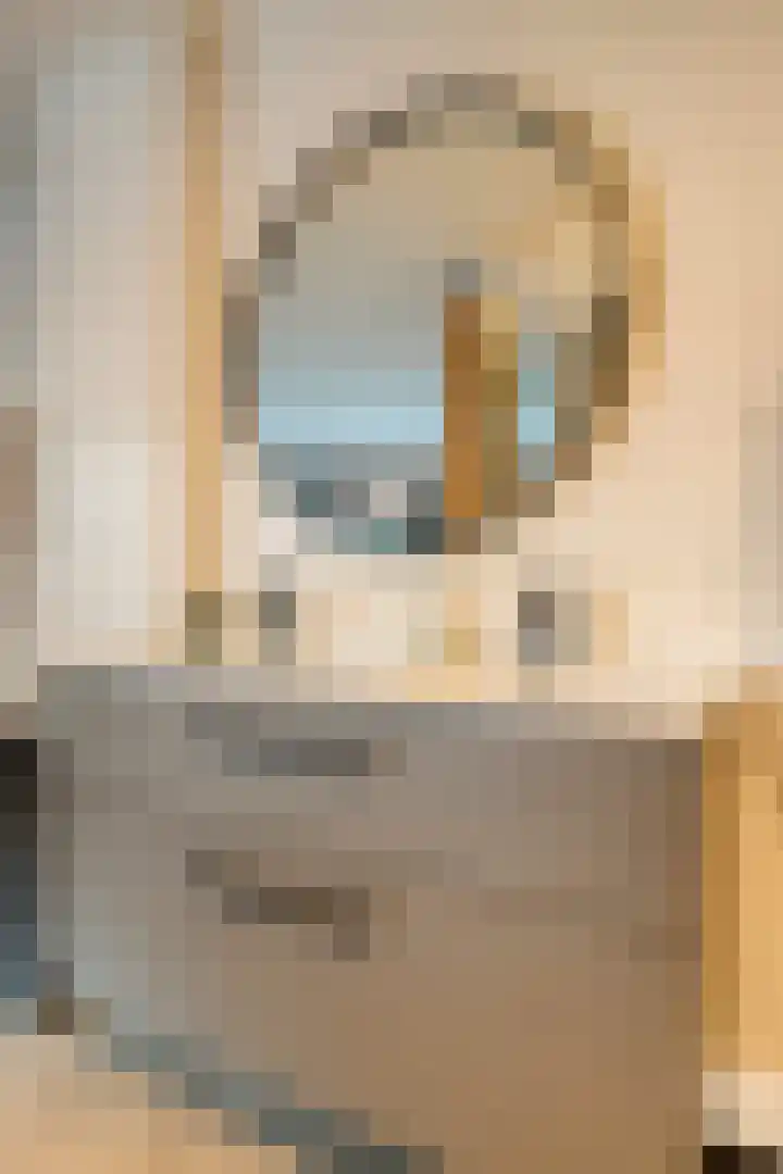 Wilhelminastraat 6 Oudelande thumbnail 36