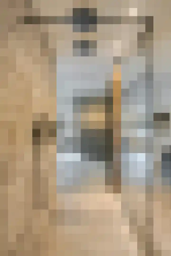 Wilhelminastraat 6 Oudelande thumbnail 38
