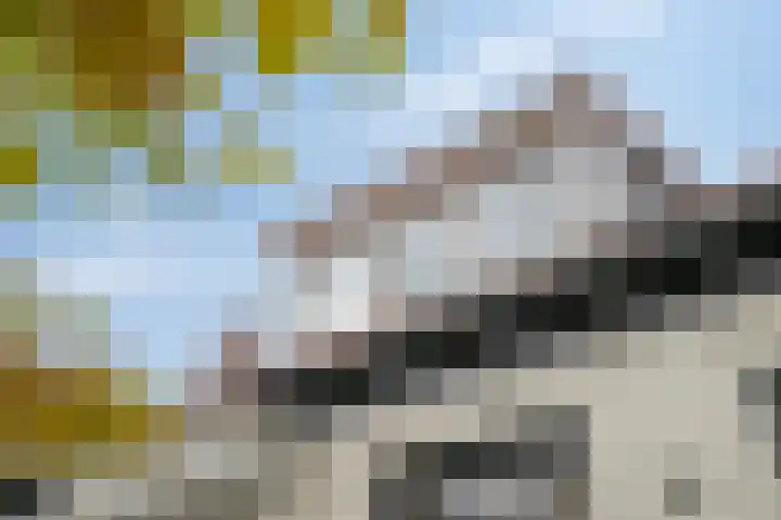 Wilhelminastraat 6 Oudelande thumbnail 4