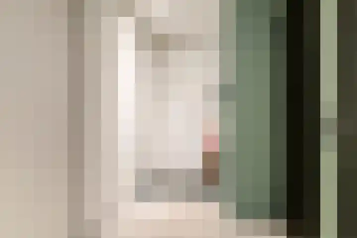 Wilhelminastraat 6 Oudelande thumbnail 41