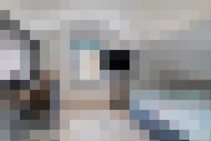 Wilhelminastraat 6 Oudelande thumbnail 45