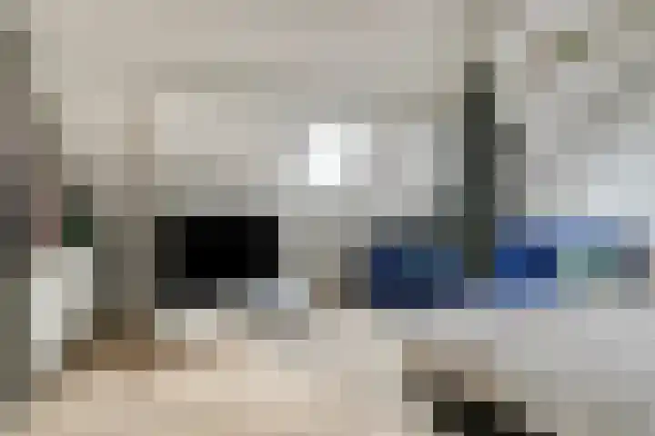 Wilhelminastraat 6 Oudelande thumbnail 48