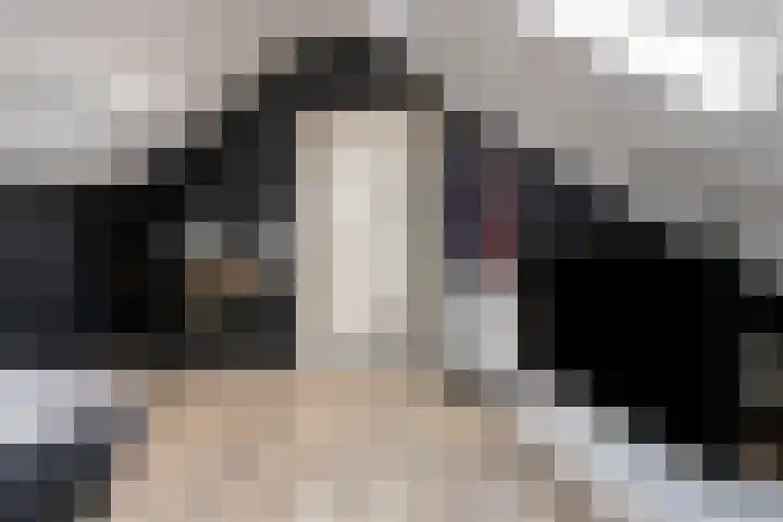 Wilhelminastraat 6 Oudelande thumbnail 49