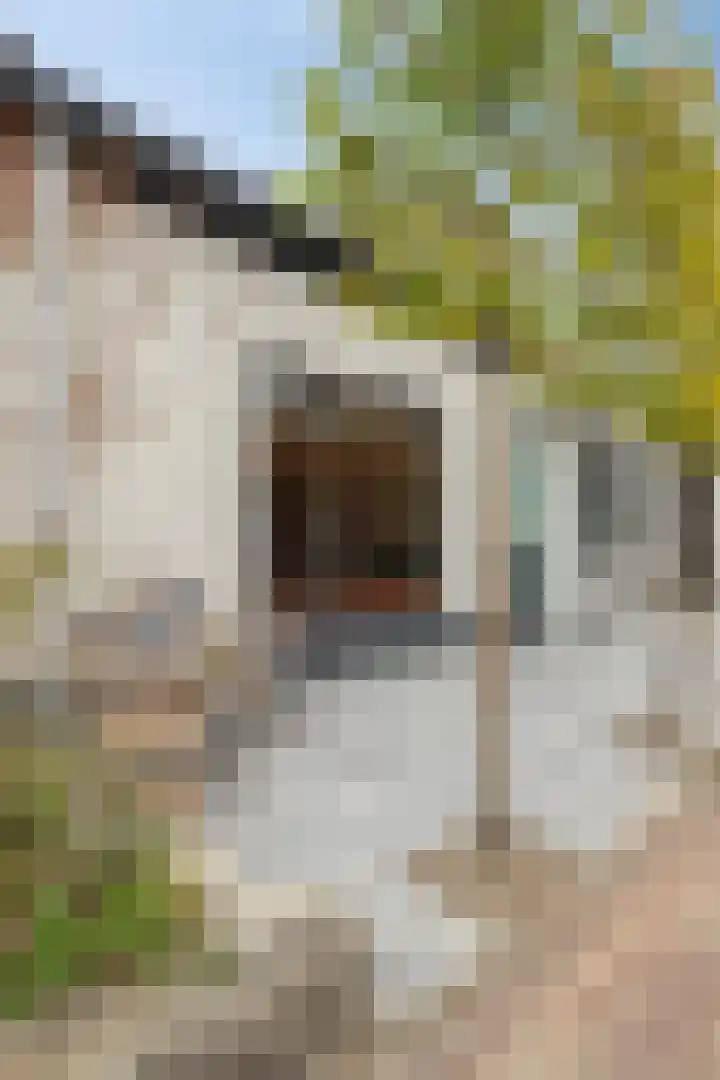 Wilhelminastraat 6 Oudelande thumbnail 5