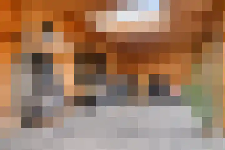 Wilhelminastraat 6 Oudelande thumbnail 57