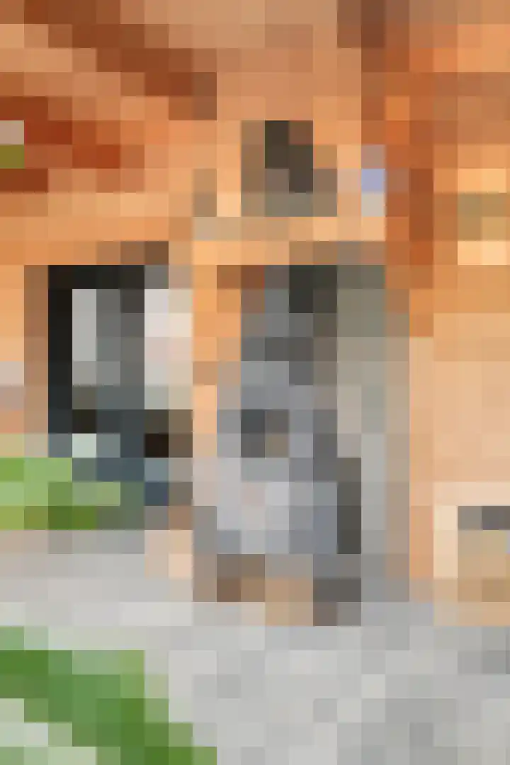 Wilhelminastraat 6 Oudelande thumbnail 59