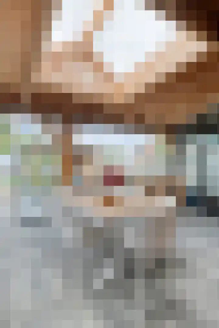 Wilhelminastraat 6 Oudelande thumbnail 61