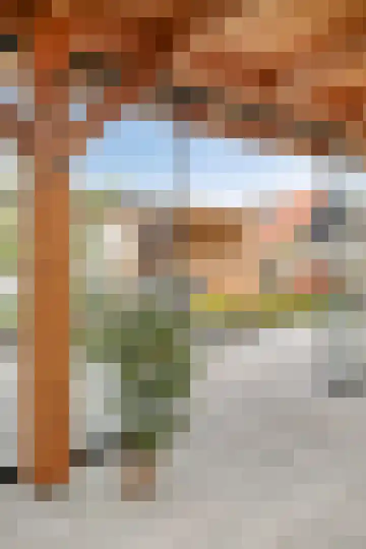 Wilhelminastraat 6 Oudelande thumbnail 62