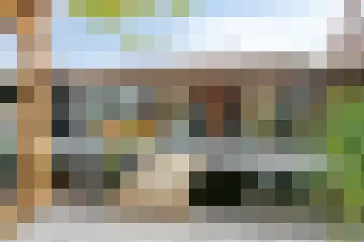 Wilhelminastraat 6 Oudelande thumbnail 64