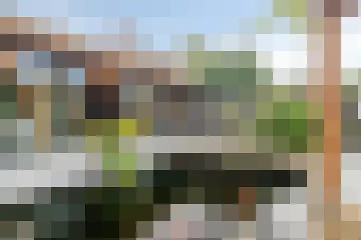Wilhelminastraat 6 Oudelande thumbnail 65