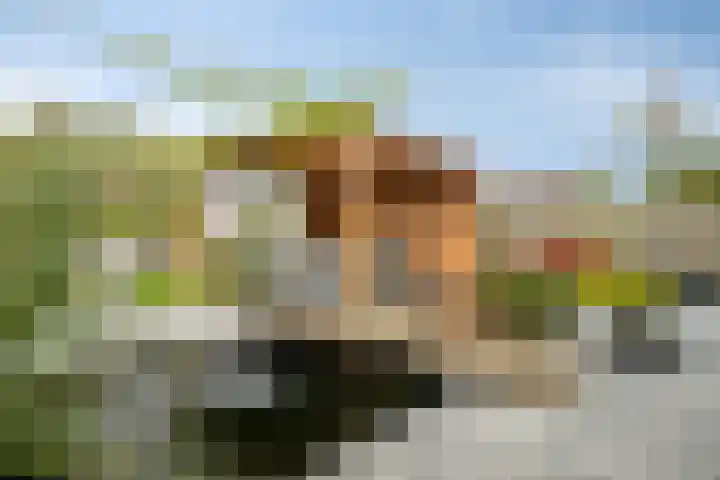 Wilhelminastraat 6 Oudelande thumbnail 66