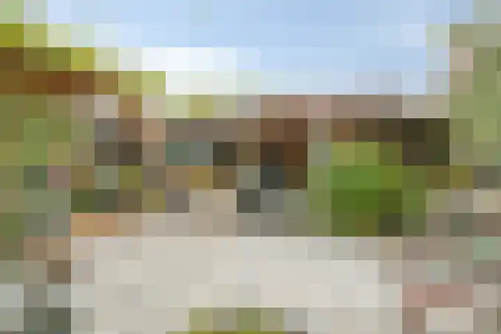 Wilhelminastraat 6 Oudelande thumbnail 69