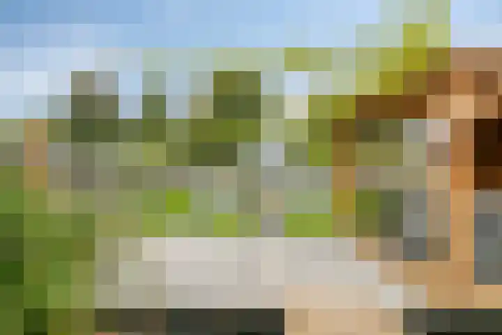 Wilhelminastraat 6 Oudelande thumbnail 70