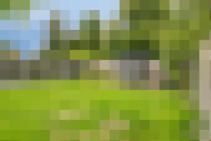 Wilhelminastraat 6 Oudelande thumbnail 73