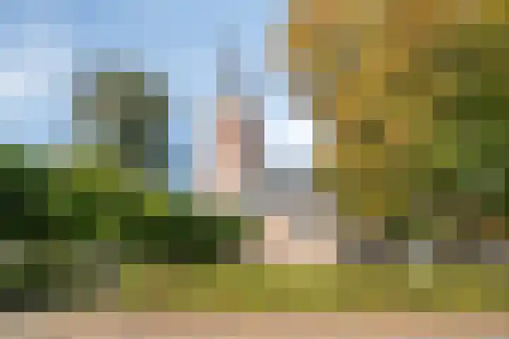 Wilhelminastraat 6 Oudelande thumbnail 78