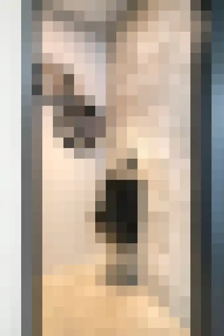 Wilhelminastraat 6 Oudelande thumbnail 9