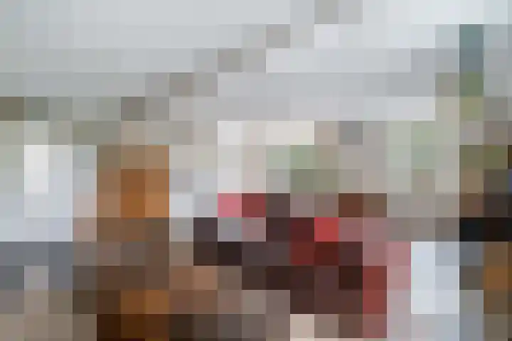 Wilhelminastraat 6 Stramproy thumbnail 15