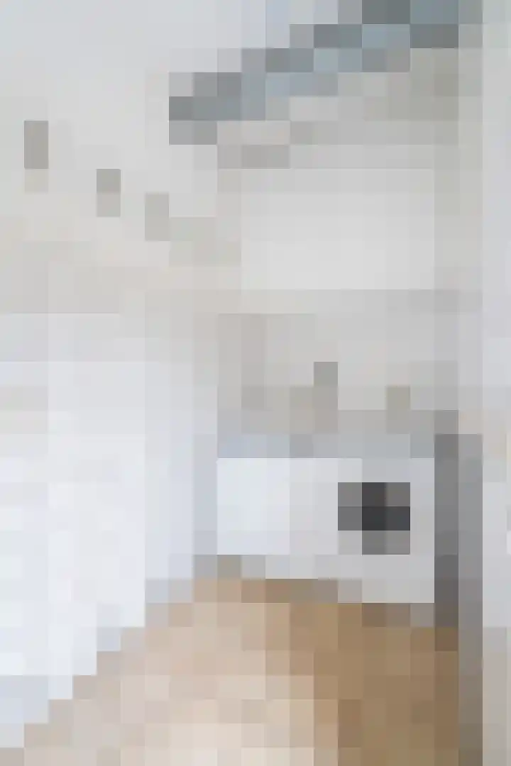 Wilhelminastraat 6 Stramproy thumbnail 20