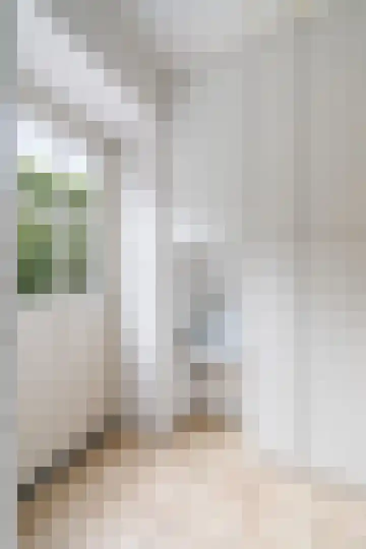 Wilhelminastraat 6 Stramproy thumbnail 21