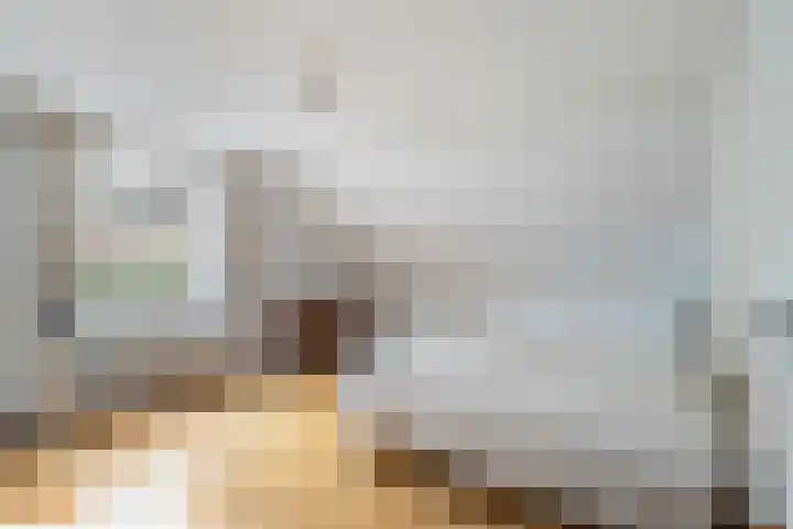 Wilhelminastraat 6 Stramproy thumbnail 24