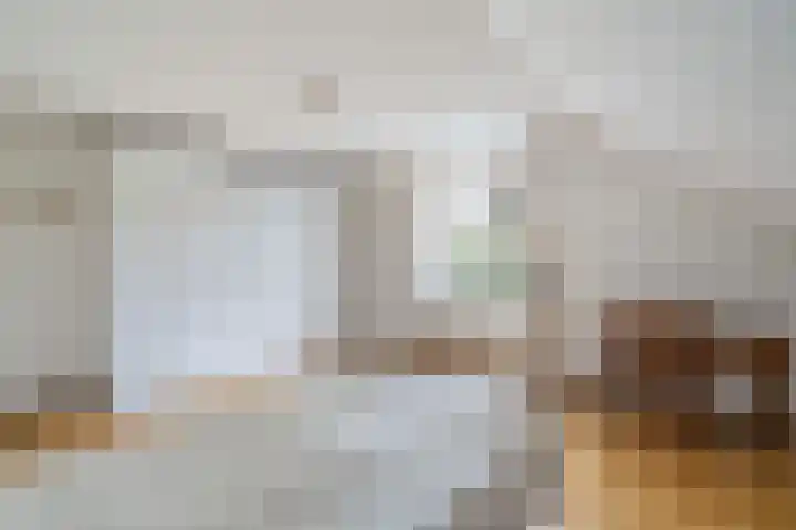 Wilhelminastraat 6 Stramproy thumbnail 25