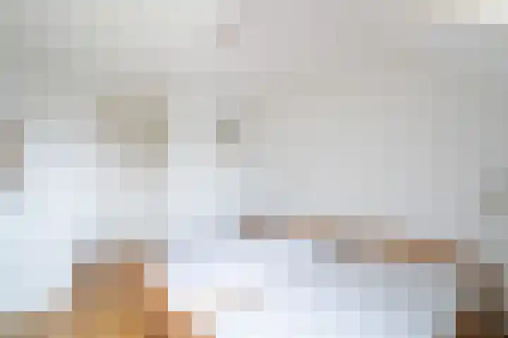 Wilhelminastraat 6 Stramproy thumbnail 27