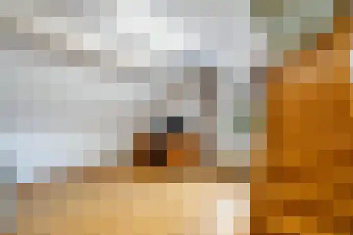 Wilhelminastraat 6 Stramproy thumbnail 28