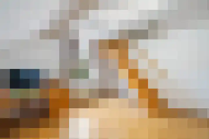Wilhelminastraat 6 Stramproy thumbnail 29