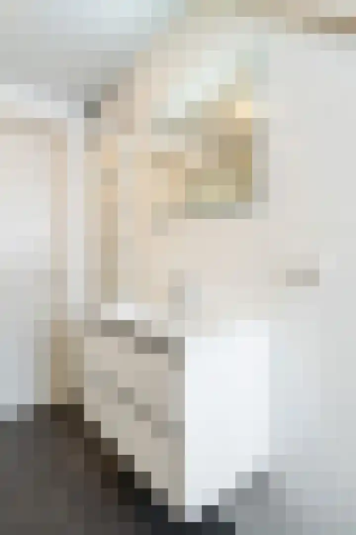 Wilhelminastraat 6 Stramproy thumbnail 32