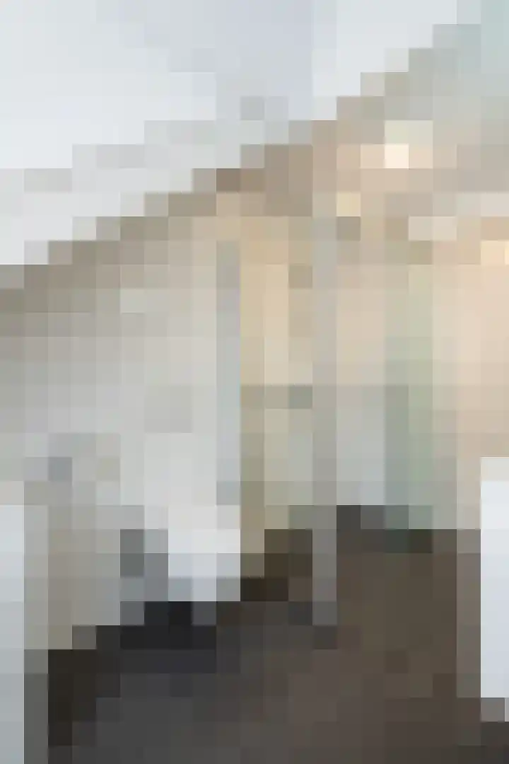 Wilhelminastraat 6 Stramproy thumbnail 33