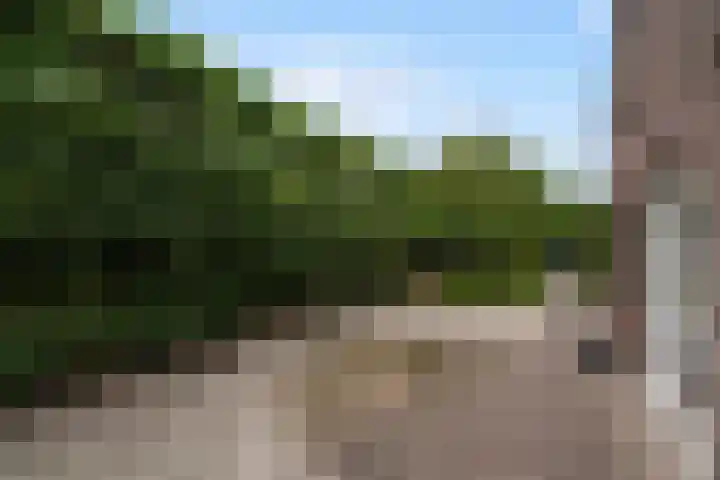Wilhelminastraat 6 Stramproy thumbnail 34