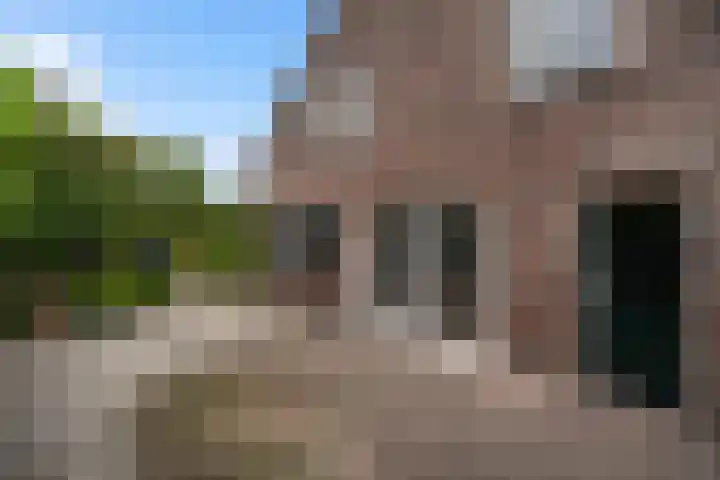 Wilhelminastraat 6 Stramproy thumbnail 35
