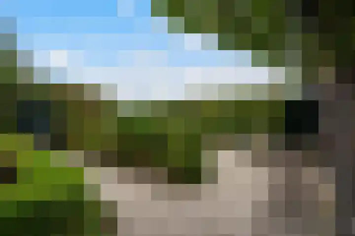 Wilhelminastraat 6 Stramproy thumbnail 38