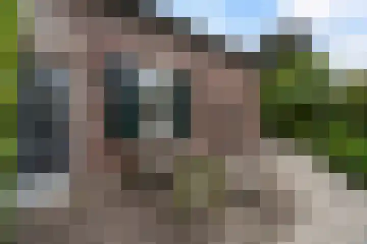 Wilhelminastraat 6 Stramproy thumbnail 39