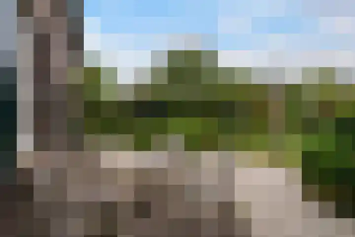 Wilhelminastraat 6 Stramproy thumbnail 40