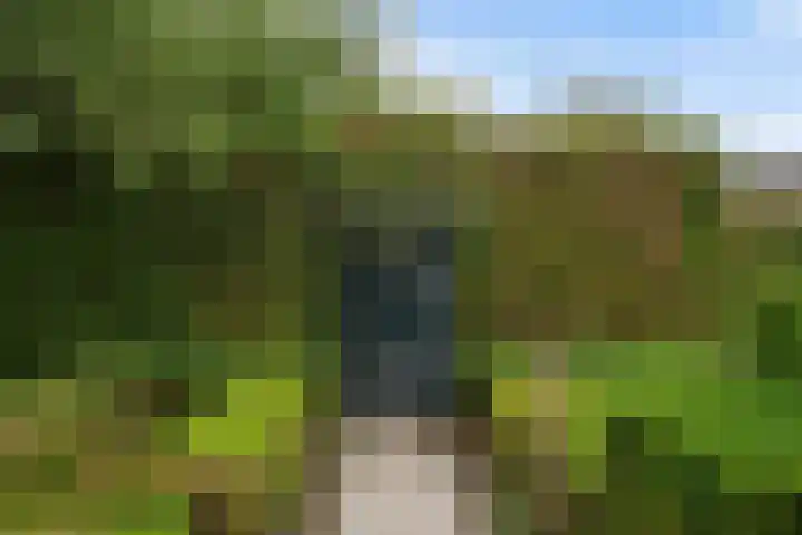 Wilhelminastraat 6 Stramproy thumbnail 42
