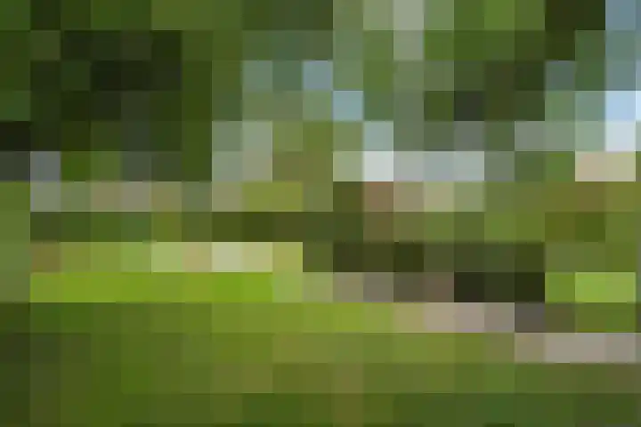 Wilhelminastraat 6 Stramproy thumbnail 43
