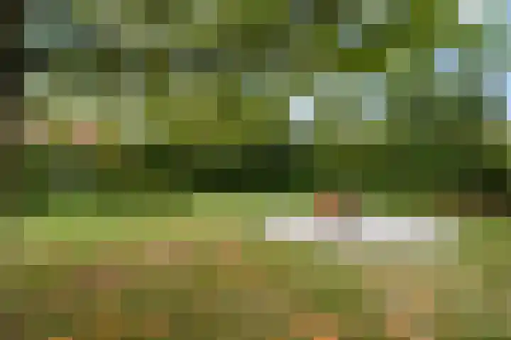 Wilhelminastraat 6 Stramproy thumbnail 44