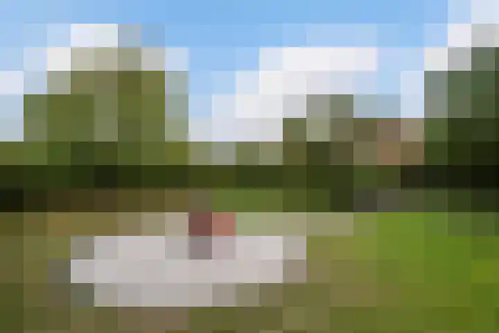 Wilhelminastraat 6 Stramproy thumbnail 45