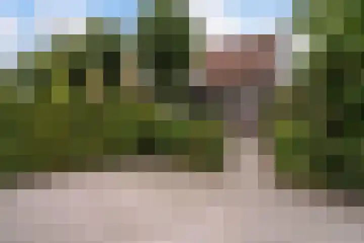 Wilhelminastraat 6 Stramproy thumbnail 47